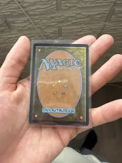 Wan Shi Tong, Librarian (Borderless) #320 (NM) TLA Magic MTG Mythic Borderless - Image 5