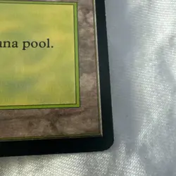 SNOW-COVERED FOREST Magic The Gathering ICE AGE land card MTG NM (DS3D1F3) - Image 3