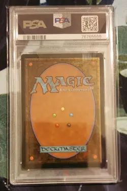 MTG - Winding Canyons Weatherlight - PSA 8 NM-MT Graded Magic The Gathering - Image 2