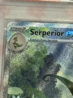 2025 POKEMON BLK EN-BLACK BOLT SPECIAL ILLUSTRATION RARE SERPERIOR EX 164 PSA 10 - Image 2