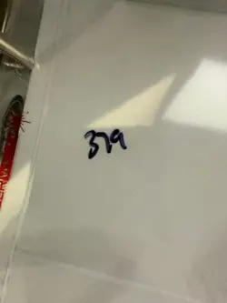 Magic the Gathering: Beta Wall of Water MTG Beta - Image 3