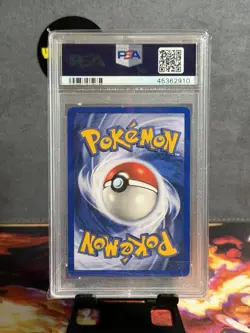 1999 POKEMON BASE SET 42 WARTORTLE 1ST EDITION SHADOWLESS PSA 8 NM-MT - Image 2