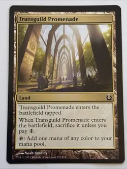 MTG Return to Ravnica Transguild Promenade 249/274 NM - Image 1