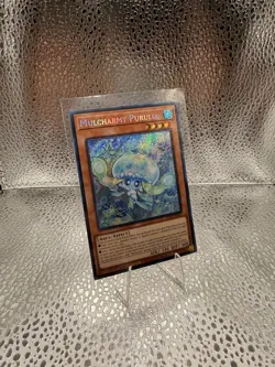 Yugioh Mulcharmy Purulia INFO-EN027 Secret Rare 1st Edition NM - Image 3