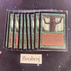 1x MTG Beta Ironroot Treefolk from Estate Collection - Image 1