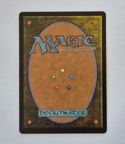 Starting Town - Final Fantasy MTG - Near Mint NM - FIN 289 - Image 2