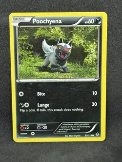 Poochyena - XY Phantom Forces - 53/119 - Pokemon TCG HP - Image 1