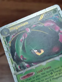 PL Pokemon Holo (Prime) MEGANIUM Card HGSS BLACK STAR PROMO Set HGSS08 HeartGold - Image 2