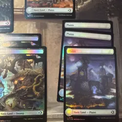 MTG Loren Eclipsed Foil Full Art Land Lot X 10 - Image 4