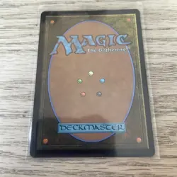 MTG Hunting Grounds (Borderless) (445) | NM | Dominaria Remastered {DMR} - Image 2