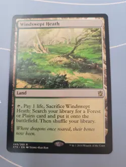 Magic the Gathering MTG Windswept Heath (248) Khans of Tarkir KTK Rare Land LP - Image 1