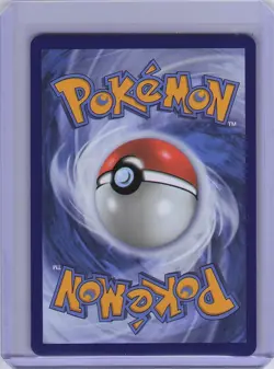 Pokemon TCG Mega Charizard X ex 023 Me: Mega Evolution Promo Holo NM - Image 2