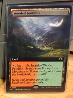 Wooded Foothills (Borderless) Extended Art NM, English Modern Horizons 3 - Image 1