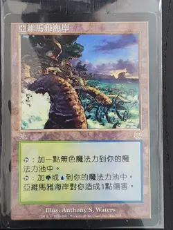 Yavimaya Coast (Chinese) #143 MTG [Apocalypse] Regular NM - Image 1
