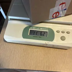 Bulk Lot 2500+ Pokemon Cards SV-PFL Silver Border Common Uncommon Rare Foil Mix - Image 2