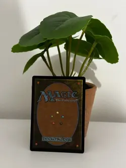 MTG Ouroboroid Edge of Eternities Mythic Card 201 NM Condition - Image 2