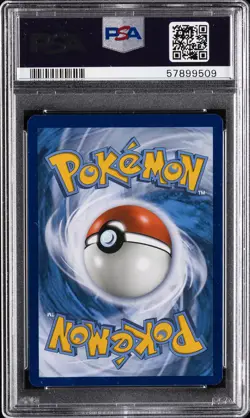2018 POKEMON SM BLACK STAR PROMO FALL 2018 COLLECTOR CHEST MOLTRES-HOLO PSA 8 - Image 2