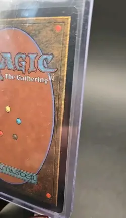 Karplusan Forest 7th Edition MTG Foil Near Mint - Image 4