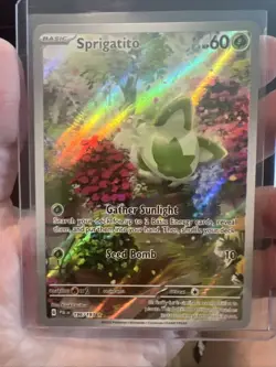 Pokemon TCG Sprigatito Scarlet & Violet Paldea Evolved Holo - Image 3