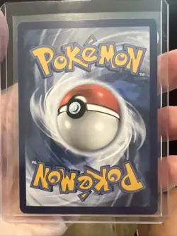 Pokemon TCG Sprigatito Scarlet & Violet Paldea Evolved Holo - Image 4