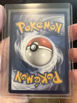 Pokemon TCG Sprigatito Scarlet & Violet Paldea Evolved Holo - Image 5