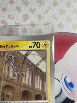 Pokemon x Natural History Museum: Pikachu at the Museum (sealed) Promo Card - Image 3