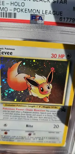 PSA 9 Eevee 2000 Pokemon Black Star Promo Eevee Holo #11 Mint WOTC - Image 5