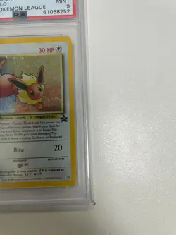 2000 Pokemon Black Star Promo Eevee Holo #11 PSA 9 Mint - Image 4