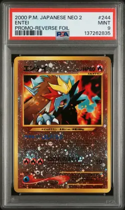 Nintendo Entei #244 Japanese Neo File 2 Promo Holo PSA 9 2000 Pokemon TCG - Image 2