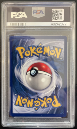 PSA 8 1st ed Shadowless BEEDRILL #17/102 1999 POKEMON TCG - Image 2