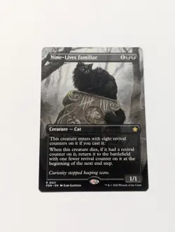 Nine-Lives Familiar (Borderless) Foundations Regular - Image 1