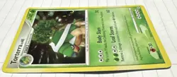Torterra 17/130 HOLO BLEED + DOUBLE SWIRL Rare D&P Set Pokemon Card 2007 NM - Image 3