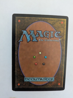 Cursed Scroll Tempest MTG NM Free shipping with tracking - Image 2