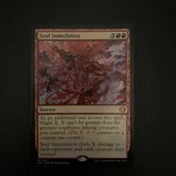 Soul Immolation | Foil | Lorwyn Eclipsed - Image 1