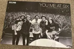 Paramore Hayley Williams Poster Rock Sound Pop Punk Emo Y2K You Me At Six - Image 2