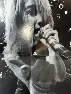 Paramore Hayley Williams Poster Rock Sound Pop Punk Emo Y2K You Me At Six - Image 3