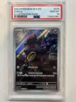 PSA 10 Zorua #075/064 Illustration Rare - Shrouded Fable Pokemon TCG Card - Image 1