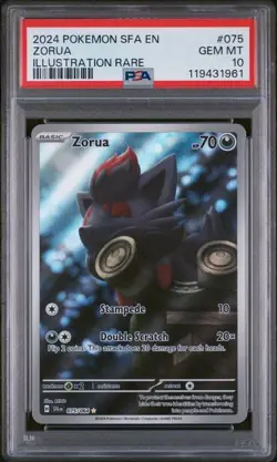 PSA 10 Zorua #075/064 Illustration Rare - Shrouded Fable Pokemon TCG Card - Image 4