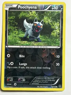 Poochyena XY - Phantom Forces 53/119 MP-LP Pokemon Card - Image 1