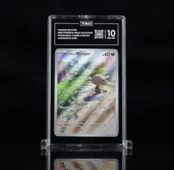 2025 POKEMON PFL EN-PHANTASMAL FLAMES ILLUSTRATION RARE PALDEAN WOOPER TAG 10 - Image 1