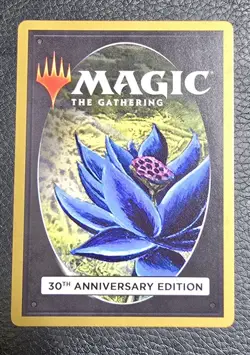 Personal Incarnation 30th Anniversary Edition Regular Modern Frame MTG Magic NM - Image 2