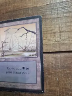 Swamp (B) Limited Edition - Beta Edition Regular, Magic The Gathering (MTG) - Image 3