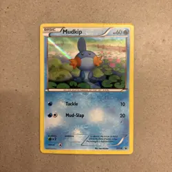 Pokemon 2014 XY Promos #XY38 Mudkip Holo Black Star Promo LP - Image 1