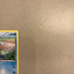 Pokemon 2014 XY Promos #XY38 Mudkip Holo Black Star Promo LP - Image 3