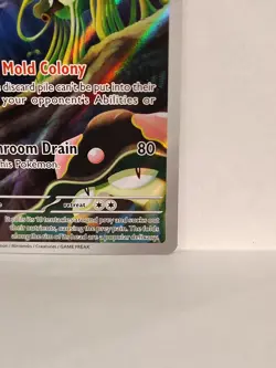 Toedscruel 185/182 SV04: Paradox Rift Illustration Rare IR Pokemon TCG Card NM - Image 5