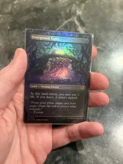 Overgrown Tomb (Borderless) Lorwyn Eclipsed Foil - Image 2