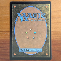 Appa, Steadfast Guardian - Prerelease Foil Promo - Avatar TLA MTG - Image 2