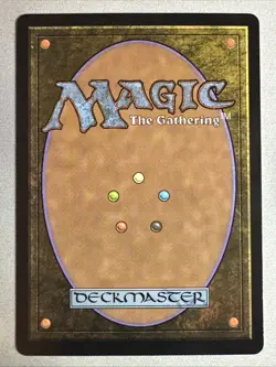 MTG / Appa, Steadfast Guardian / TLA / #316 / FOIL (Borderless) / Mythic / NM - Image 2