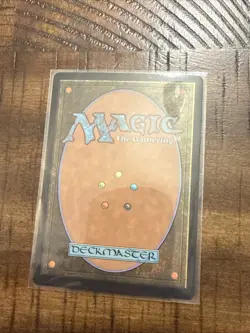 Appa, Steadfast Guardian Borderless FOIL MTG Avatar: TLA Nm/M - Image 4