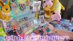 Pokemon TCG Destined Rivals - Choose Your Card! Rare Reverse Holo EX Promo NM/M - Image 2